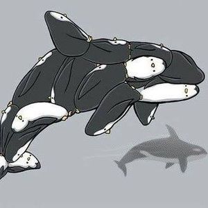 Meet your Posher, Tj